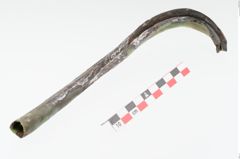 Foto von Eisenlanzenspitze (NHMW-PRAE-024360)